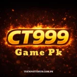 Ct999