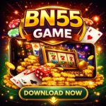 bn55