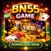 bn55